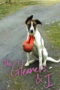 The Gleaners & I poster