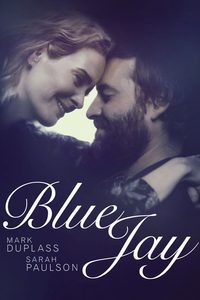 Blue Jay poster