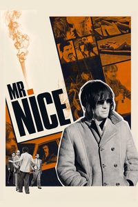 Mr. Nice poster