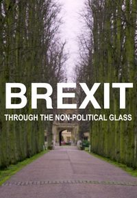 Brexit Through the Non-political Glass poster