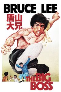 The Big Boss poster