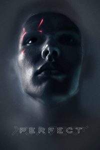 Perfect poster