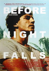 Before Night Falls poster