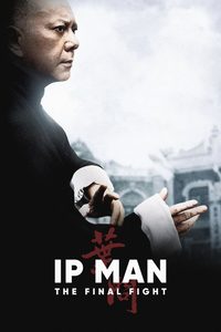 Ip Man: The Final Fight poster