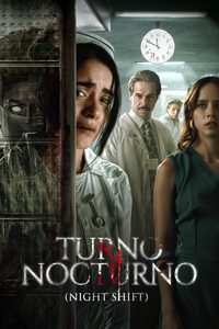 The Haunting Of The Immaculate Nurse poster