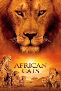 African Cats poster