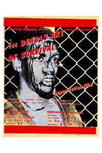 The Deadly Art of Survival poster