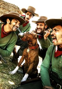 Lucky Luke and the Daltons poster