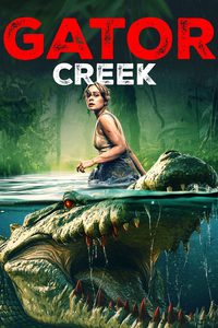 The Bayou poster