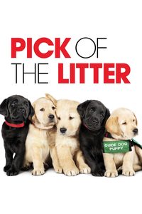 Pick of the Litter poster