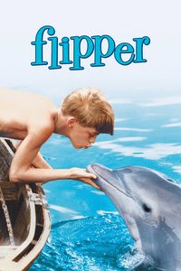 Flipper poster