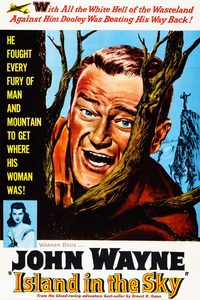 Island in the Sky poster