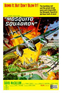 Mosquito Squadron poster