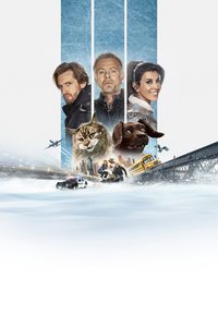 Cat and Dog poster