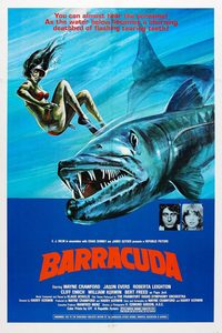 Barracuda poster