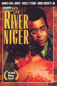 The River Niger poster