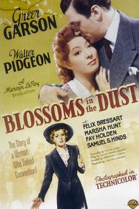 Blossoms in the Dust poster