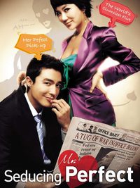 Seducing Mr. Perfect poster