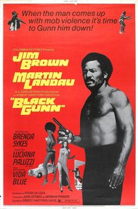 Black Gunn poster