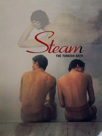 Steam: The Turkish Bath poster