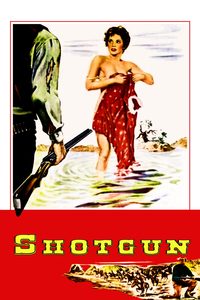 Shotgun poster
