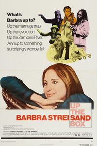 Up the Sandbox poster