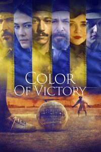 Zaferin Rengi poster