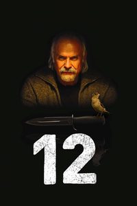12 poster