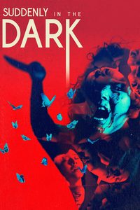 Suddenly in the Dark poster