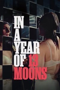 In a Year with 13 Moons poster