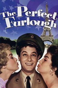 The Perfect Furlough poster