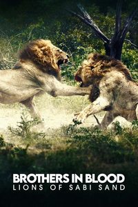 Brothers in Blood: The Lions of Sabi Sand poster