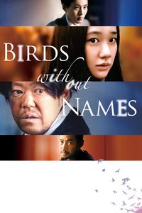 Birds Without Names poster