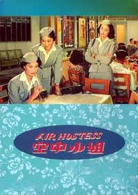 Air Hostess poster