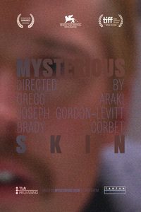 Mysterious Skin poster
