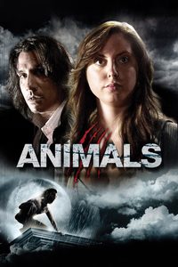 Animals poster