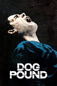 Dog Pound poster