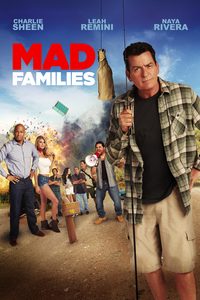 Mad Families poster