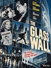 The Glass Wall poster