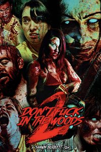 Don’t Fuck In The Woods 2 poster