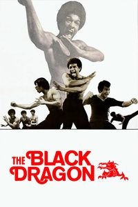 The Black Dragon poster