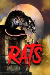 Rats poster