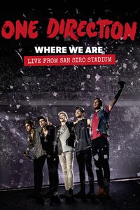 One Direction: Where We Are – The Concert Film poster
