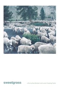 Sweetgrass poster