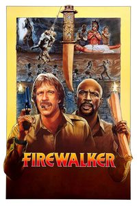 Firewalker poster