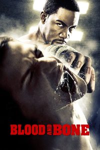 Blood and Bone poster