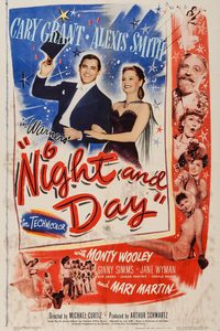 Night and Day poster