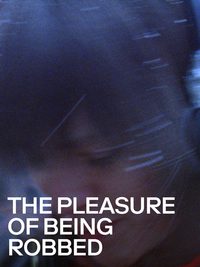 The Pleasure of Being Robbed poster