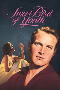Sweet Bird of Youth poster