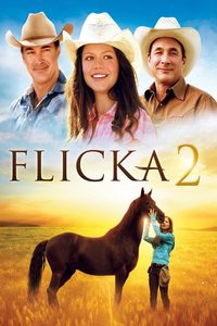 Flicka 2 poster